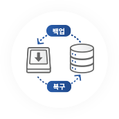 Database 백업